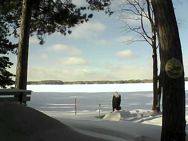 Whiteface Cam Image - Wed, 01/11/2017 12:50pm 
