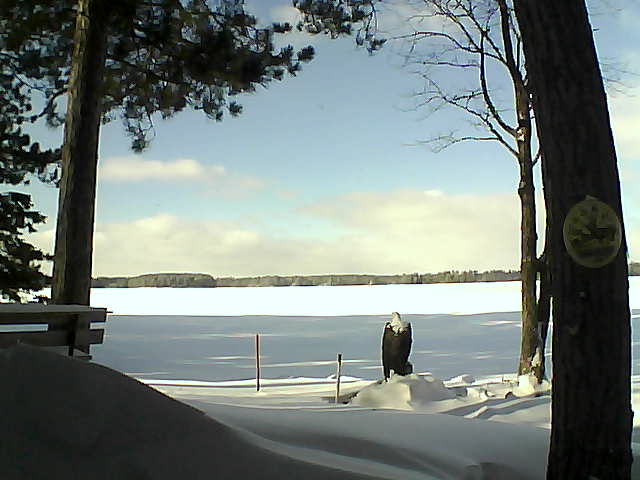 Whiteface Cam Image - Wed, 01/11/2017 1:00pm 