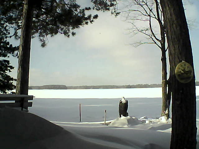 Whiteface Cam Image - Wed, 01/11/2017 1:20pm 