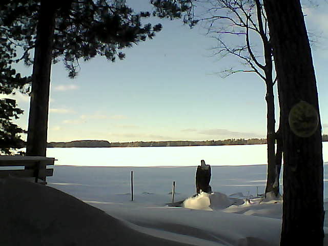 Whiteface Cam Image - Wed, 01/11/2017 2:30pm 