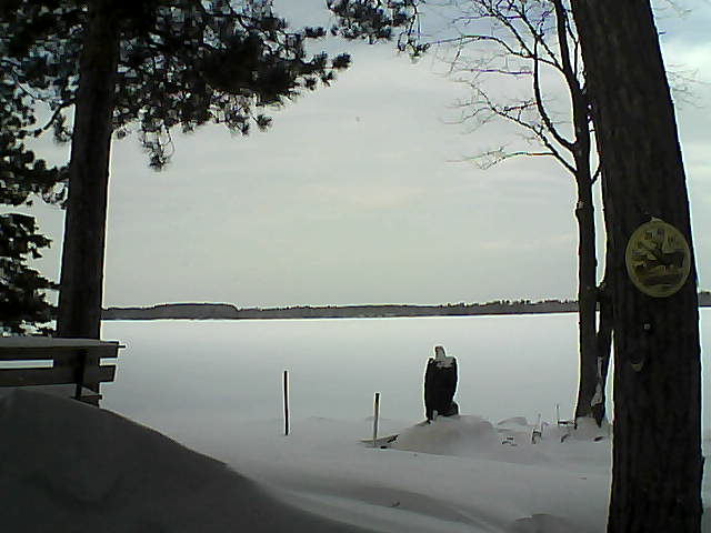 Whiteface Cam Image - Thu, 01/12/2017 10:31am 