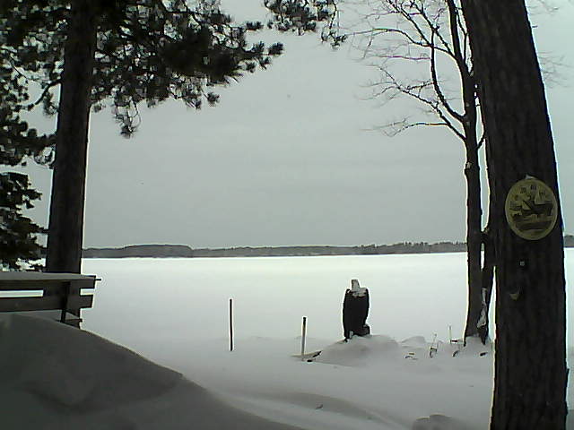 Whiteface Cam Image - Thu, 01/12/2017 10:41am 