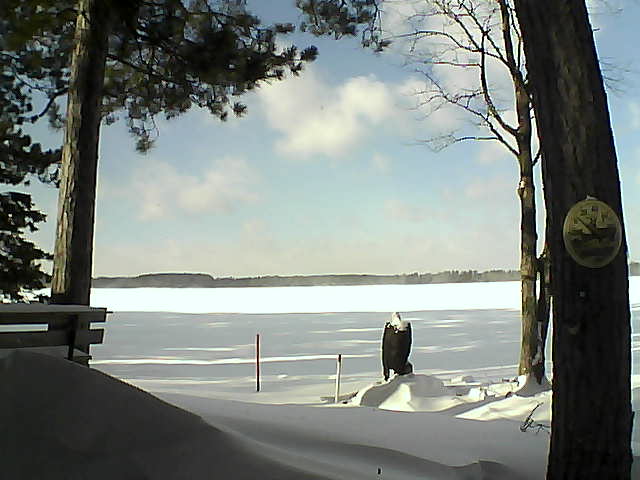 Whiteface Cam Image - Thu, 01/12/2017 12:21pm 