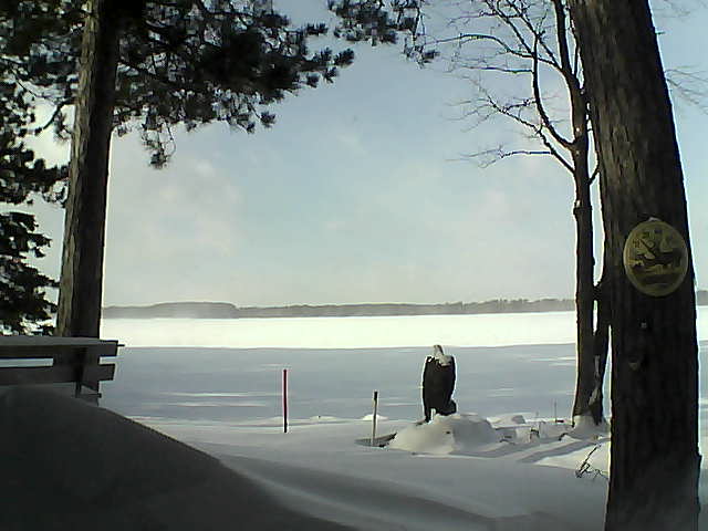 Whiteface Cam Image - Thu, 01/12/2017 12:52pm 