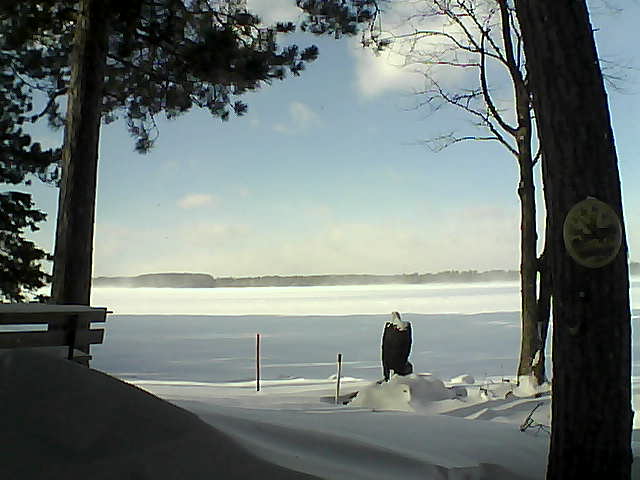 Whiteface Cam Image - Thu, 01/12/2017 1:02pm 