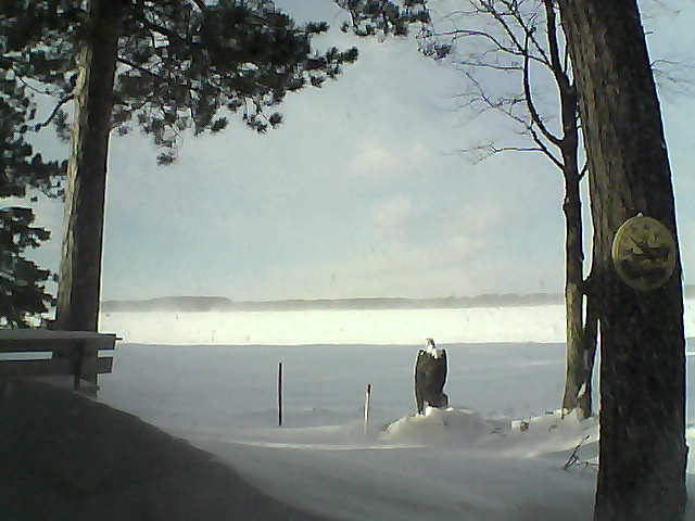 Whiteface Cam Image - Thu, 01/12/2017 1:32pm 