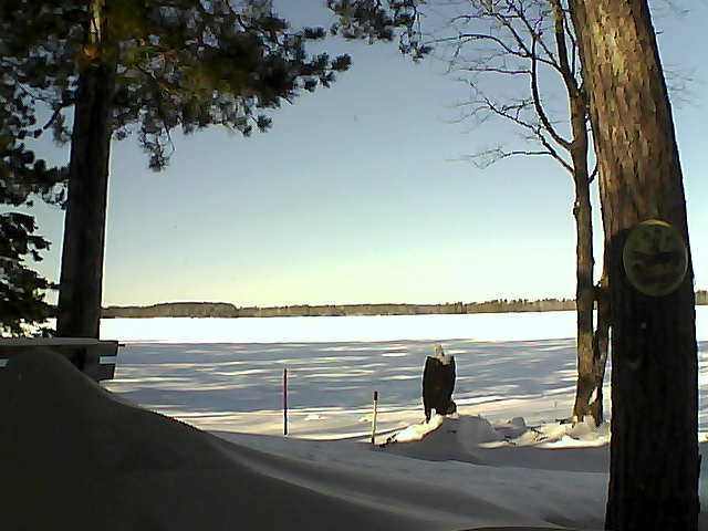 Whiteface Cam Image - Fri, 01/13/2017 11:33am 