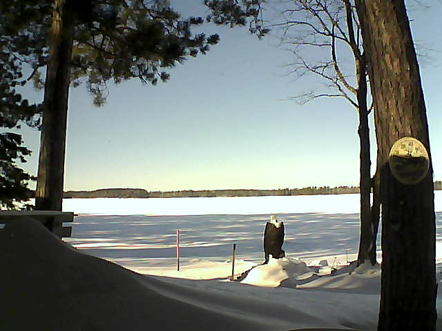 Whiteface Cam Image - Fri, 01/13/2017 12:03pm 