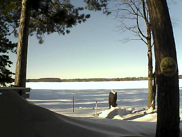 Whiteface Cam Image - Fri, 01/13/2017 12:33pm 