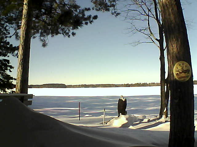 Whiteface Cam Image - Fri, 01/13/2017 12:43pm 