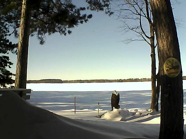 Whiteface Cam Image - Fri, 01/13/2017 12:53pm 