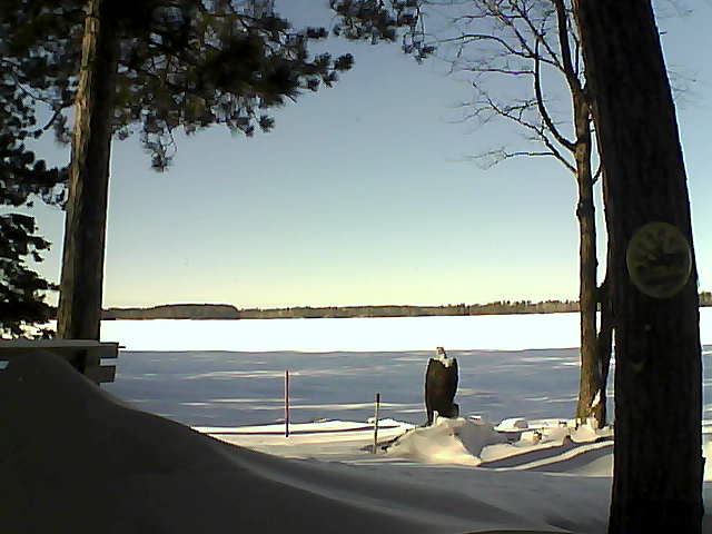 Whiteface Cam Image - Fri, 01/13/2017 1:03pm 