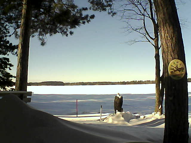 Whiteface Cam Image - Fri, 01/13/2017 1:13pm 