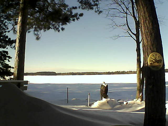 Whiteface Cam Image - Fri, 01/13/2017 1:33pm 