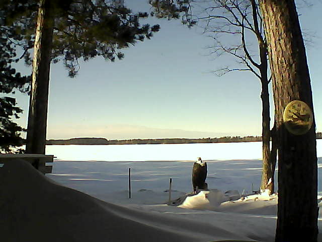 Whiteface Cam Image - Fri, 01/13/2017 1:43pm 