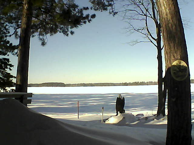 Whiteface Cam Image - Sat, 01/14/2017 11:46am 