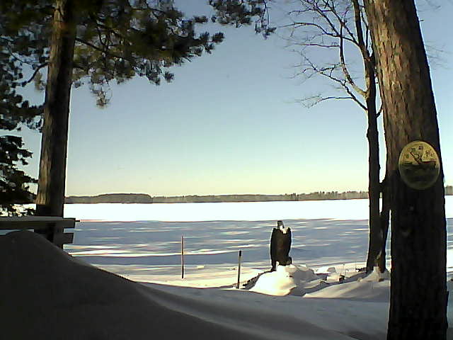 Whiteface Cam Image - Sat, 01/14/2017 12:06pm 
