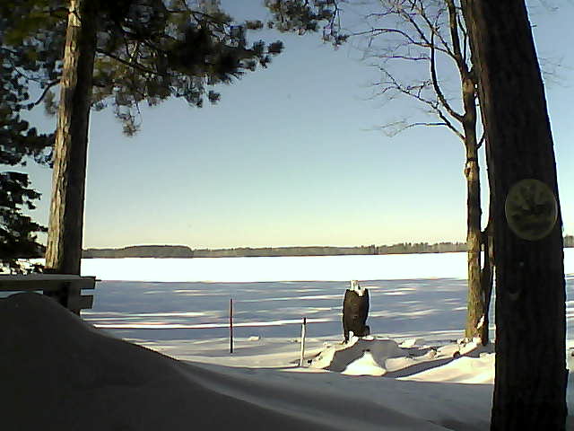 Whiteface Cam Image - Sat, 01/14/2017 12:26pm 