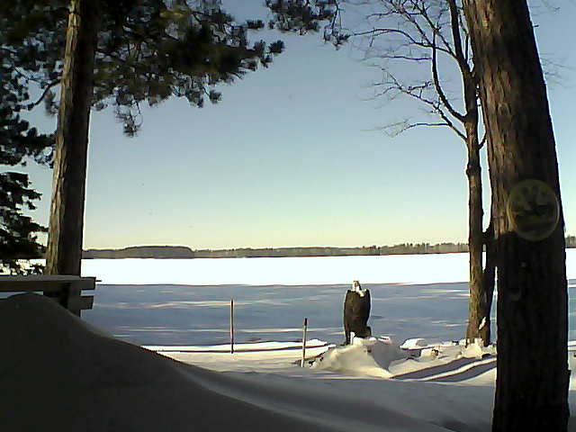 Whiteface Cam Image - Sat, 01/14/2017 1:06pm 