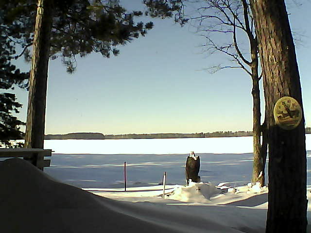 Whiteface Cam Image - Sat, 01/14/2017 1:16pm 