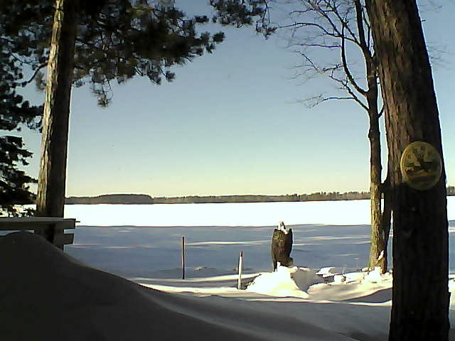 Whiteface Cam Image - Sat, 01/14/2017 1:26pm 