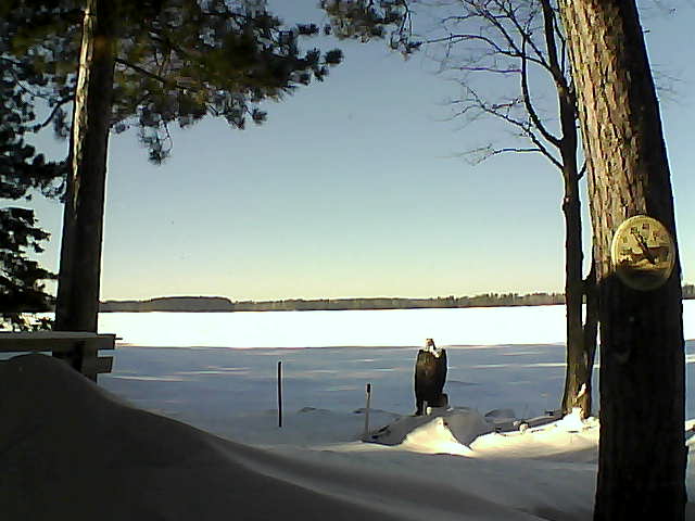 Whiteface Cam Image - Sat, 01/14/2017 1:47pm 