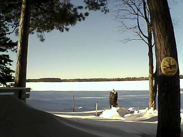 Whiteface Cam Image - Sun, 01/15/2017 1:28pm 