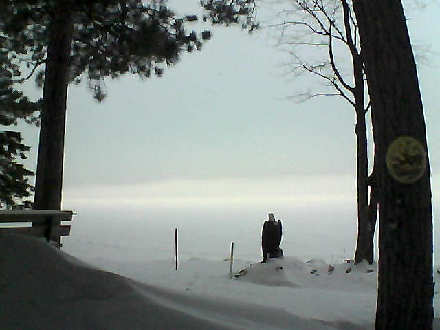 Whiteface Cam Image - Mon, 01/16/2017 7:29am 