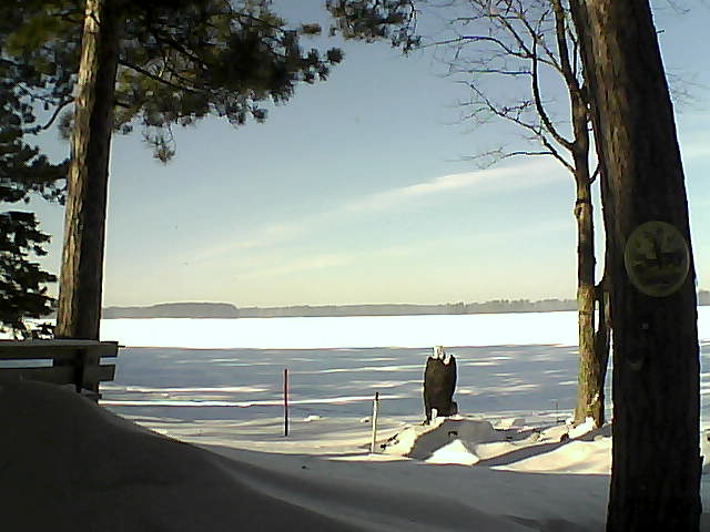 Whiteface Cam Image - Mon, 01/16/2017 12:29pm 