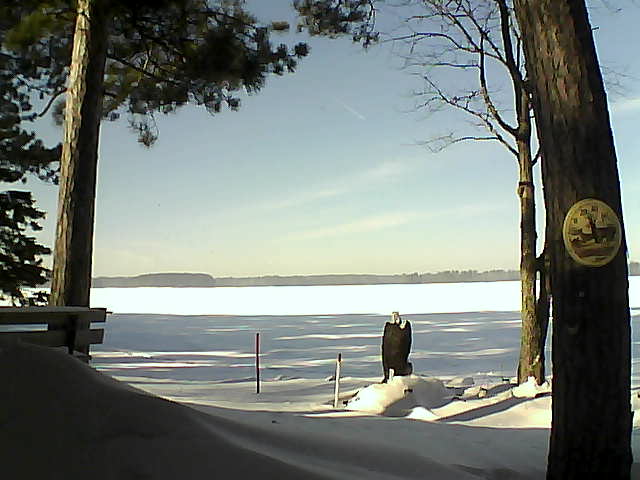 Whiteface Cam Image - Mon, 01/16/2017 12:39pm 