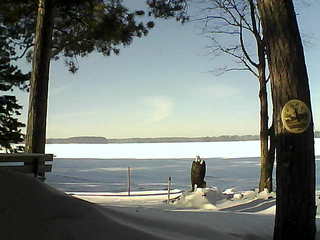 Whiteface Cam Image - Mon, 01/16/2017 1:09pm 