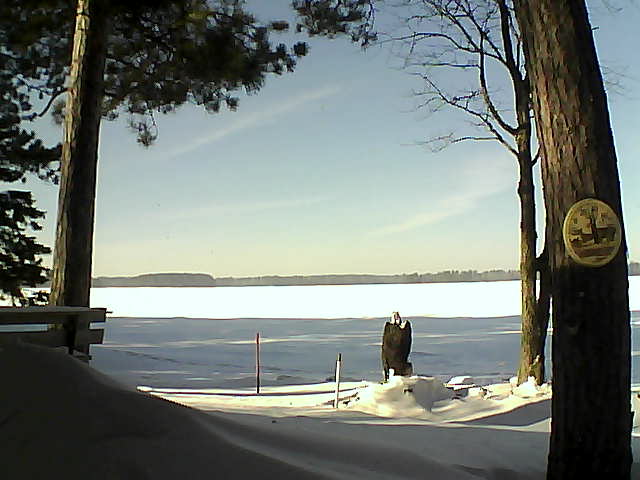 Whiteface Cam Image - Mon, 01/16/2017 1:19pm 