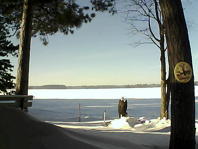 Whiteface Cam Image - Mon, 01/16/2017 1:29pm 