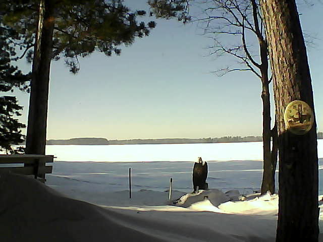 Whiteface Cam Image - Mon, 01/16/2017 1:49pm 