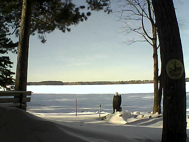 Whiteface Cam Image - Wed, 01/18/2017 1:01pm 