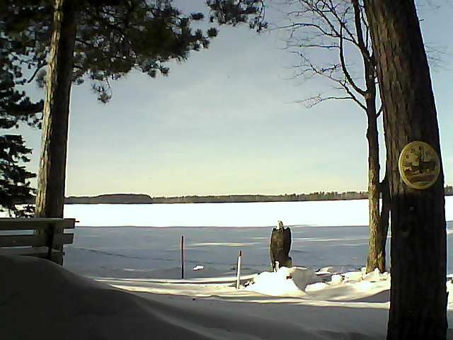 Whiteface Cam Image - Wed, 01/18/2017 1:31pm 