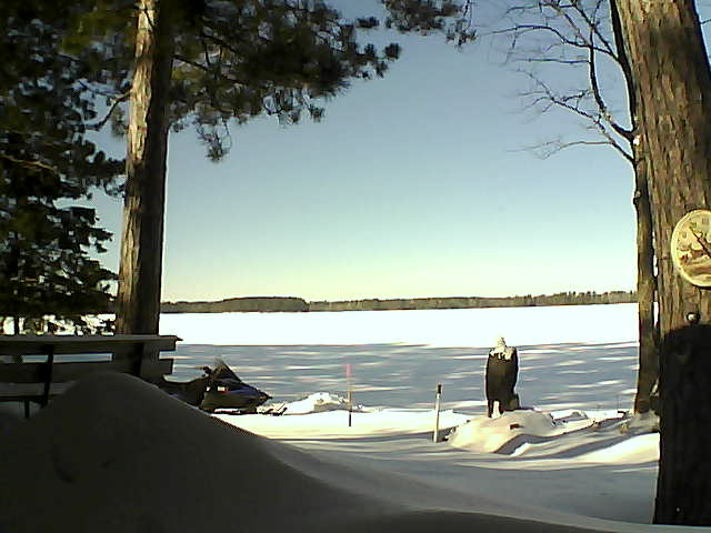 Whiteface Cam Image - Sun, 02/05/2017 12:00pm 