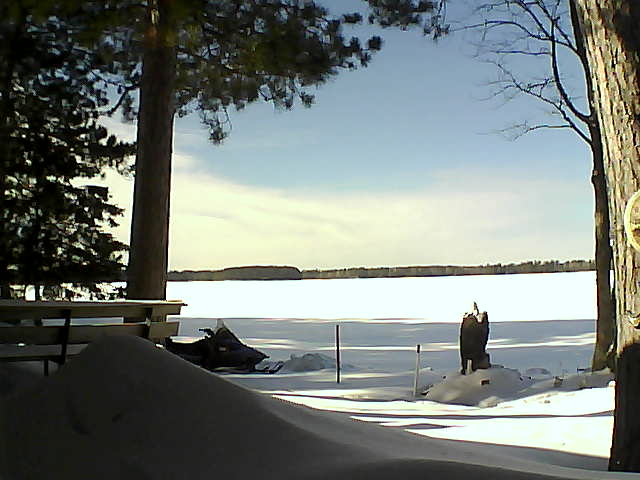 Whiteface Cam Image - Sun, 02/05/2017 1:50pm 