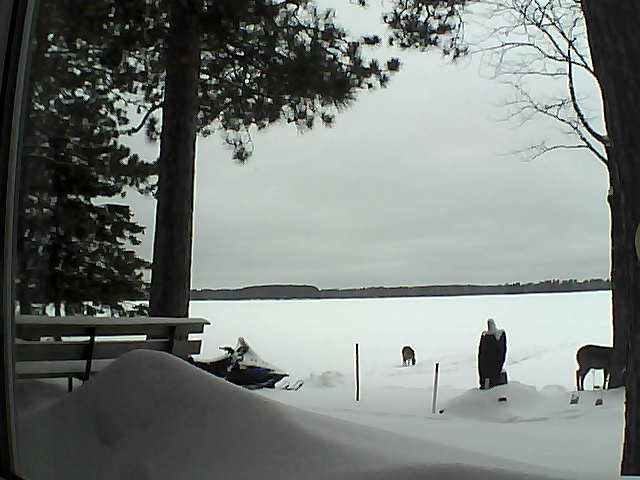 Whiteface Cam Image - Mon, 02/06/2017 1:21pm 