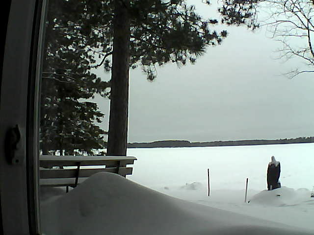 Whiteface Cam Image - Tue, 02/07/2017 8:59am 