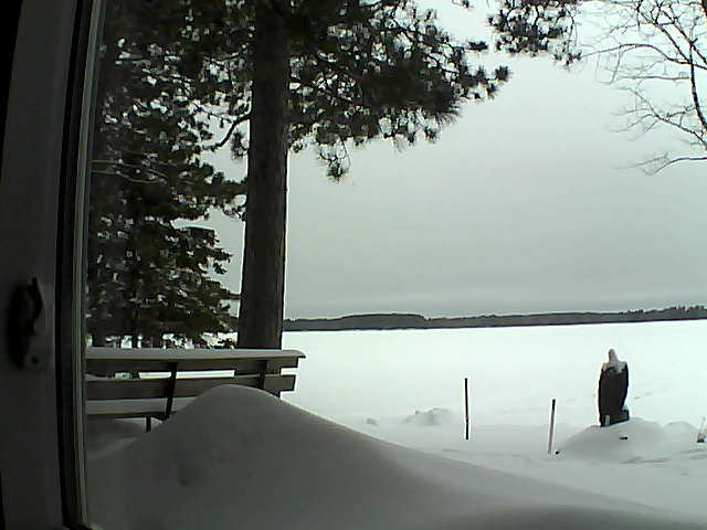 Whiteface Cam Image - Tue, 02/07/2017 9:19am 