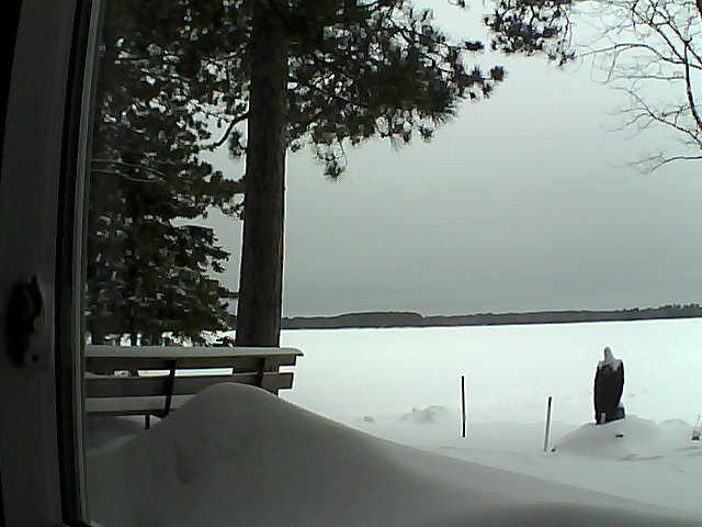 Whiteface Cam Image - Tue, 02/07/2017 9:39am 