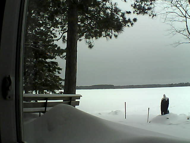 Whiteface Cam Image - Tue, 02/07/2017 9:59am 