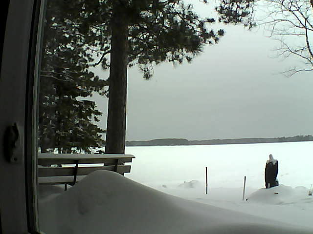 Whiteface Cam Image - Tue, 02/07/2017 10:19am 