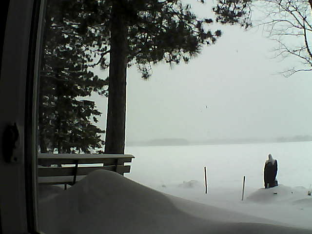 Whiteface Cam Image - Tue, 02/07/2017 11:29am 