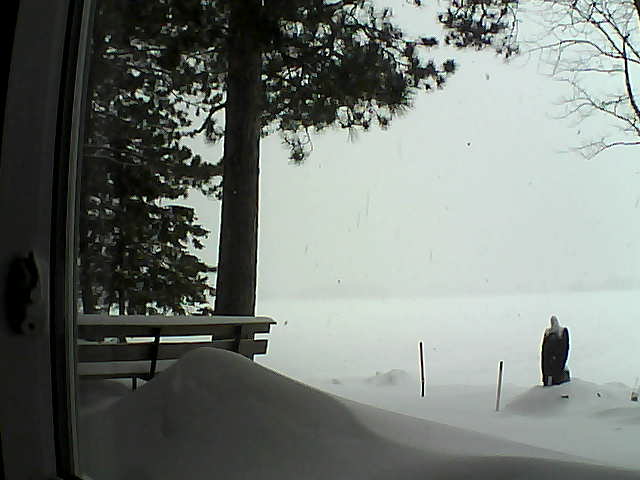 Whiteface Cam Image - Tue, 02/07/2017 11:49am 