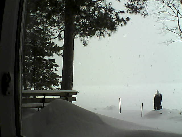 Whiteface Cam Image - Tue, 02/07/2017 11:59am 