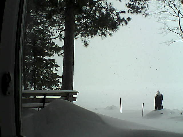 Whiteface Cam Image - Tue, 02/07/2017 12:19pm 