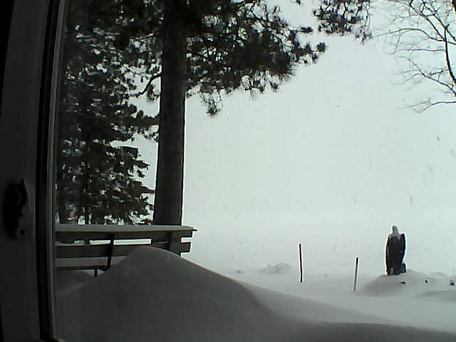 Whiteface Cam Image - Tue, 02/07/2017 12:29pm 