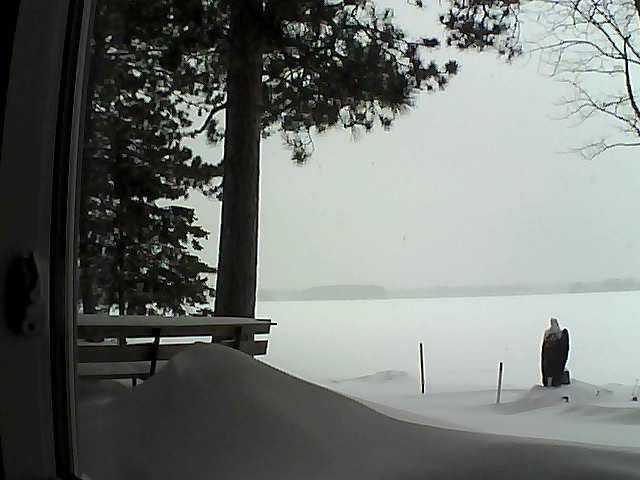 Whiteface Cam Image - Tue, 02/07/2017 1:39pm 